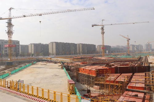 徐征一行調(diào)研阿里巴巴項目并召開工程總承包模式專題研討會